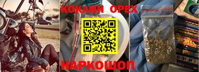 крисы Кунгур