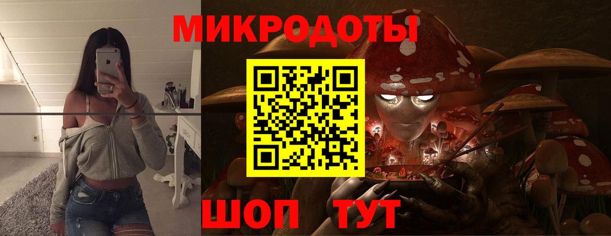 Псилоцибиновые грибы Psilocybine cubensis  Вход с VPN  Чернушка  Галлюциногенные грибы мицелий 